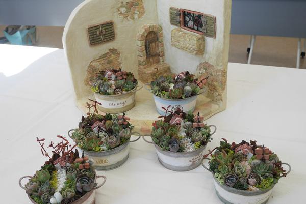 多肉植物で箱庭作り♡ | 生活協同組合パルシステム群馬